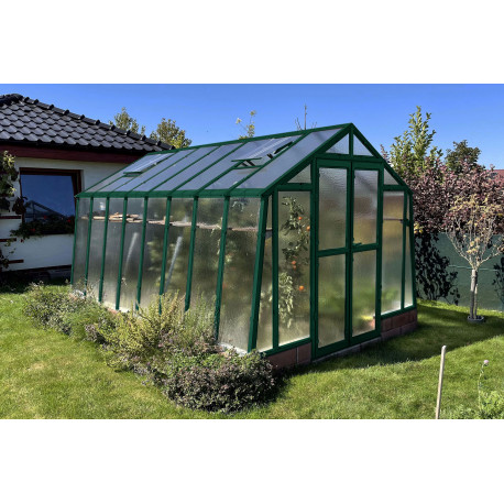 Zieleń mchu RAL 6005