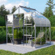 Szklarnia Dione 5,0 m² z aluminium i szkła hartowanego 3 mm - Vitavia