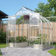 Szklarnia Dione 5,0 m² z aluminium i szkła hartowanego 3 mm - Vitavia