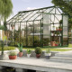 Szklarnia Uranus 9,9 m² z aluminium i szkła hartowanego 3 mm w kolorze szmaragdowym - Vitavia