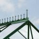 Kalenica ozdobna w kolorze szmaragdowym - Vitavia