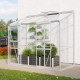 Szklarnia przyścienna Styx 3,3 m² z aluminium i szkła hartowanego 3 mm - Vitavia