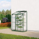 Szklarnia przyścienna Styx 0,9 m² z aluminium i szkła hartowanego 3 mm w kolorze szmaragdowym - Vitavia