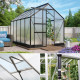 Zestaw szklarnia Apollo 6,2 m² z poliwęglanu 4 mm w kolorze czarnym + akcesoria - Vitavia