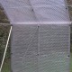 Ochronna folia bąbelkowa do okrywania na zimę 1,5x10m - Green Protect