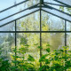 Szklarnia ogrodowa Orangerie 70m² z aluminium i szkła hartowanego - BloomCabin