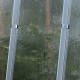 Szklarnia ogrodowa ze szkła dyfuzyjnego 4 mm Variant J3 - 249x306 cm - Limes