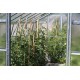 Szklarnia ogrodowa ze szkła dyfuzyjnego 4 mm Variant L4,5 - 303x452 cm - Limes