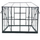 Szklarnia ogrodowa 2,5x2,5m Belvedere z aluminium, poliwęglanu i szkła hartowanego 4mm - Green Protect