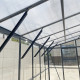 Szklarnia ogrodowa 3,7x2,5m Belvedere z aluminium, poliwęglanu i szkła hartowanego 4mm - Green Protect