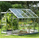Szklarnia Venus 5m² z aluminium i szkła hartowanego 3 mm - Vitavia