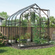 Szklarnia Orion 5,0 m² z aluminium i szkła hartowanego 3 mm w kolorze czarnym - Vitavia